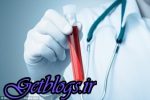 موفقیت در تزریق خون جوان در افراد مسن جهت نابودی بیماری‌ها